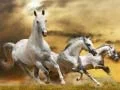 Jogo Deslizamento do Cavalo Correndo online