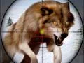 Jogo Caça a Animais Selvagens online