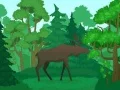 Jogo Colorindo Animais Selvagens online