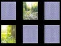 Jogo Memória da Natureza online