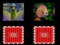 Jogo memória de peixes online