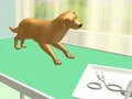 Jogo Cuidado das Patas online