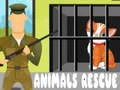 Jogo Resgate de Animais online
