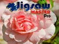 Jogo Mestre do Quebra-Cabeça Pro online