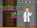 Jogo Escape do Desafio Leve Amgel online