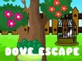 Jogo Fuga da Pomba online Jogo Fuga da Pomba online