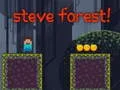 Jogo Floresta do Steve online