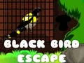 Jogo Escape do Pássaro Preto online Jogo Escape do Pássaro Preto online