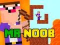 Jogo Sr. Novato online