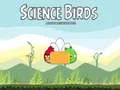 Jogo Pássaros Científicos online Jogo Pássaros Científicos online
