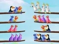 Jogo Puzzle de Classificação de Pássaros online Jogo Puzzle de Classificação de Pássaros online