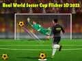 Jogo Copa do Mundo de Futebol Real Flicker 3D 2023 online Jogo Copa do Mundo de Futebol Real Flicker 3D 2023 online