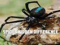 Jogo Aranha: Encontre a diferença online Jogo Aranha: Encontre a diferença online