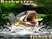 Jogo Pesca em águas paradas online Jogo Pesca em águas paradas online