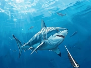 Jogo Caça subaquática subaquática online