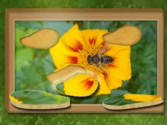 Jogo Encontre e restaurar: quebra-cabeça oculto online