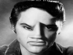 Jogo ELVIS FACA FONICA online Jogo ELVIS FACA FONICA online