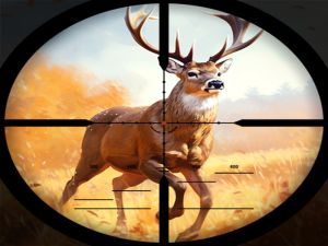 Jogo Clash de caça selvagem online