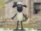 Jogo Shaun, o Carneiro: Pullover de Lã! online