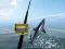Jogo Pesca no Mar Azul online