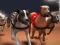 Jogo Corrida de Greyhounds online