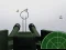 Jogo Mestre Flak online