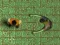 Jogo Labirinto da Infecção online