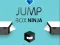 Jogo Ninja da Caixa de Pulo online