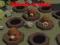 Jogo Bata no tope online