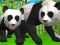 Jogo Simulador de Panda 3D online