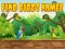 Jogo Encontre os nomes das aves online