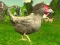 Jogo Atirador de Frango online