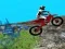 Jogo Desafios de Bicicleta na Floresta 2019 online