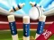 Jogo Mini Cricket: Campeonato Mundial 2019 online