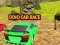 Jogo Corrida de Carros Dino online