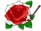 Jogo Cor Feliz online