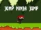 Jogo Salta Ninja Salta online