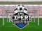Jogo Goleiro Especialista online