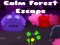 Jogo Fuga da Floresta Tranquila online
