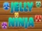 Jogo Ninja Gelatina online