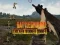 Jogo Vencedor do Campo de Batalha de Frangos online