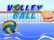 Jogo Voleibol online