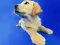 Jogo Quebra-Cabeça de Gatos e Cães Engraçados online