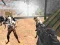 Jogo Combate Strike Sobrevivência Zumbi Multiplayer online