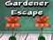 Jogo Fuga do Jardineiro online