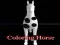 Jogo Colorir cavalo online