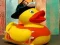 Jogo Quebra-Cabeça de Patos Amarelos online