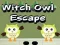 Jogo Escape da Coruja Bruxa online