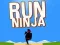 Jogo Corra Ninja online
