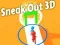 Jogo Sair às Escondidas 3D online